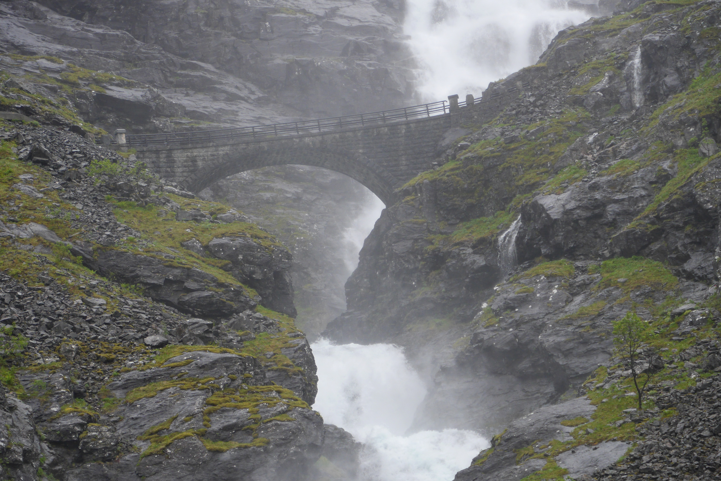Busausflug Geiranger mit Trollstigen